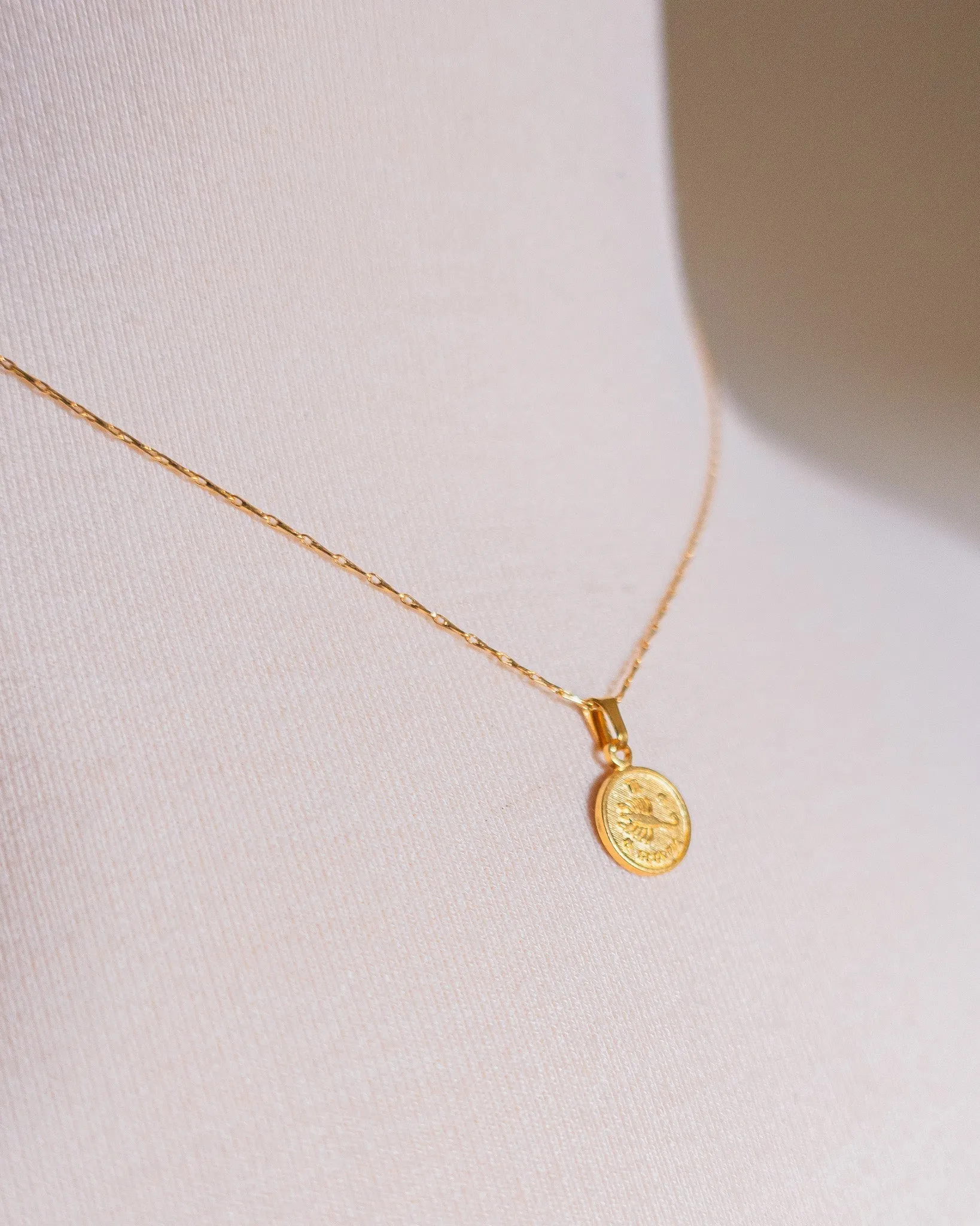 Zodiac Medallion Charm Necklace